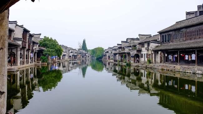 救援小肥兔